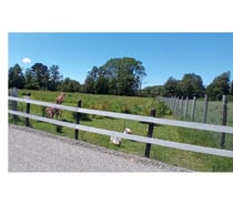 PARCELA ORILLA DE RIO