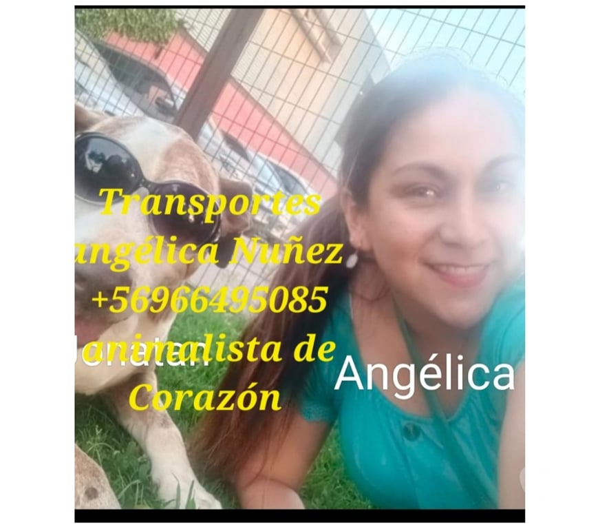 Fletes y Mudanzas - Transportes Santiago Santiago - Fotos de Retiro escombros lo.prado renca cerro navia +56974477488