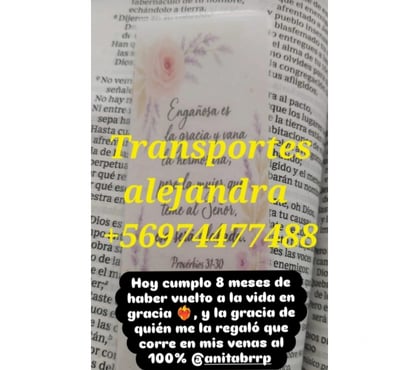 Fletes y Mudanzas - Transportes Santiago Santiago - Fotos de Retiro escombros lo.prado renca cerro navia +56974477488