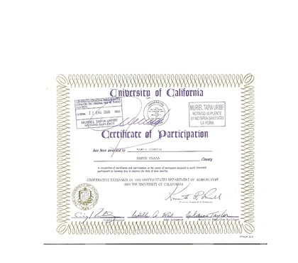 Traducciones-Transcripciones La Reina Santiago - Fotos de *REALIZO TRADUCCIONES SÒLO TEXTOS TRABAJE 10 AÑOS USA*