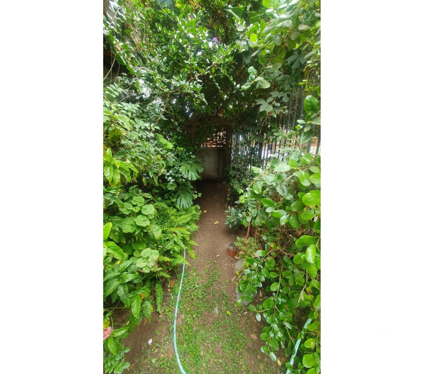 Bienes Raices Valparaíso Viña del Mar - Fotos de Amplia Casa en venta plan de Viña del Mar UF 7.990