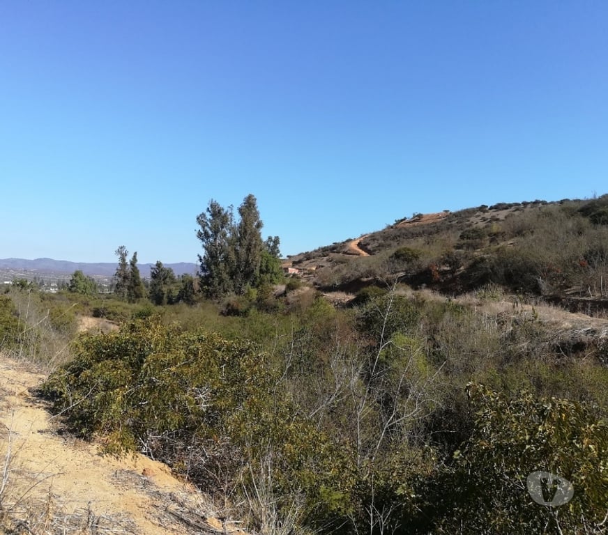 Parcelas en Venta Quillota Limache - Fotos de PARCELA CAMINO LOS LAURELES, LIMACHE