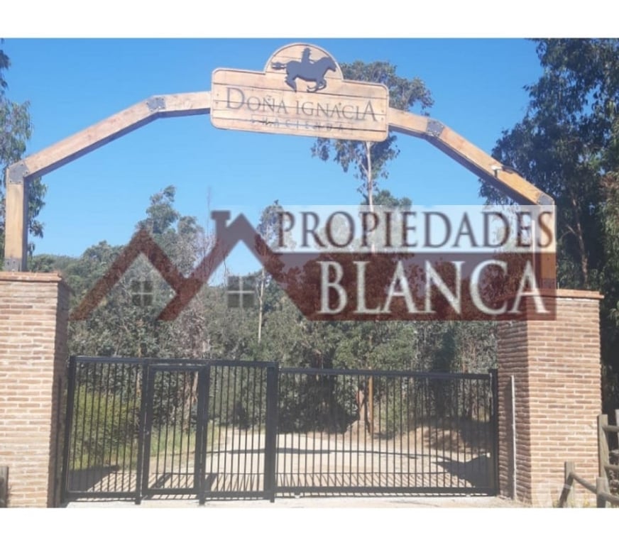 Parcelas en Venta Quillota Limache - Fotos de PARCELA PLANA SECTOR LOS BORRISQUEROS LIMACHE.