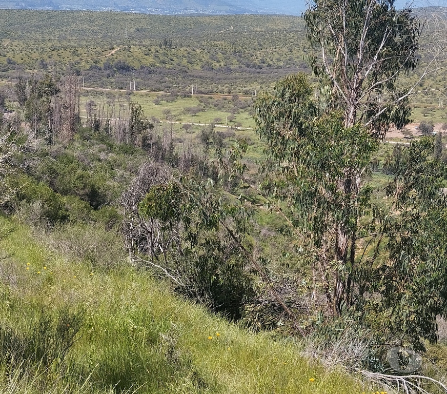 Parcelas en Venta Quillota Limache - Fotos de PARCELA EN CAJON DEL LEBU LIMACHE