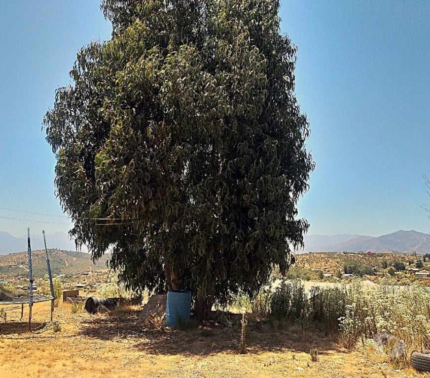 Parcelas en Venta Quillota Limache - Fotos de PARCELA CON CASA PARA TERMINAR INGRESO POR PEÑABLANCA