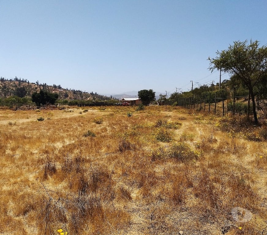 Parcelas en Venta Quillota Limache - Fotos de PARCELA PLANA A MINUTOS DE VILLA ALEMANA