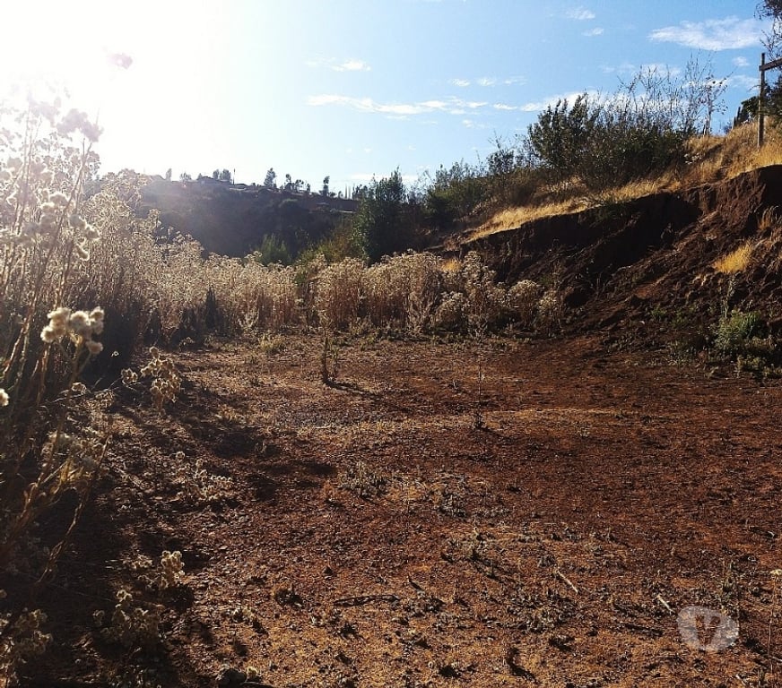 Parcelas en Venta Quillota Limache - Fotos de PARCELA 5000 MT2 FUNDO EL LEBU
