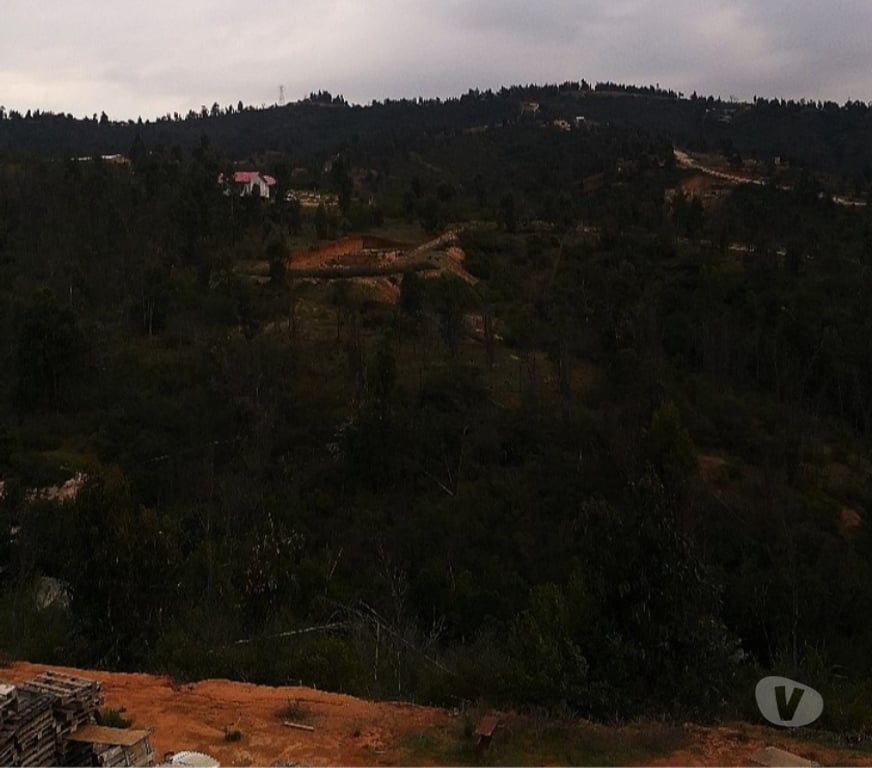 Parcelas en Venta Quillota Limache - Fotos de HERMOSA PARCELA CON CASA AMOBLADA VALLE VERDE LIMACHE