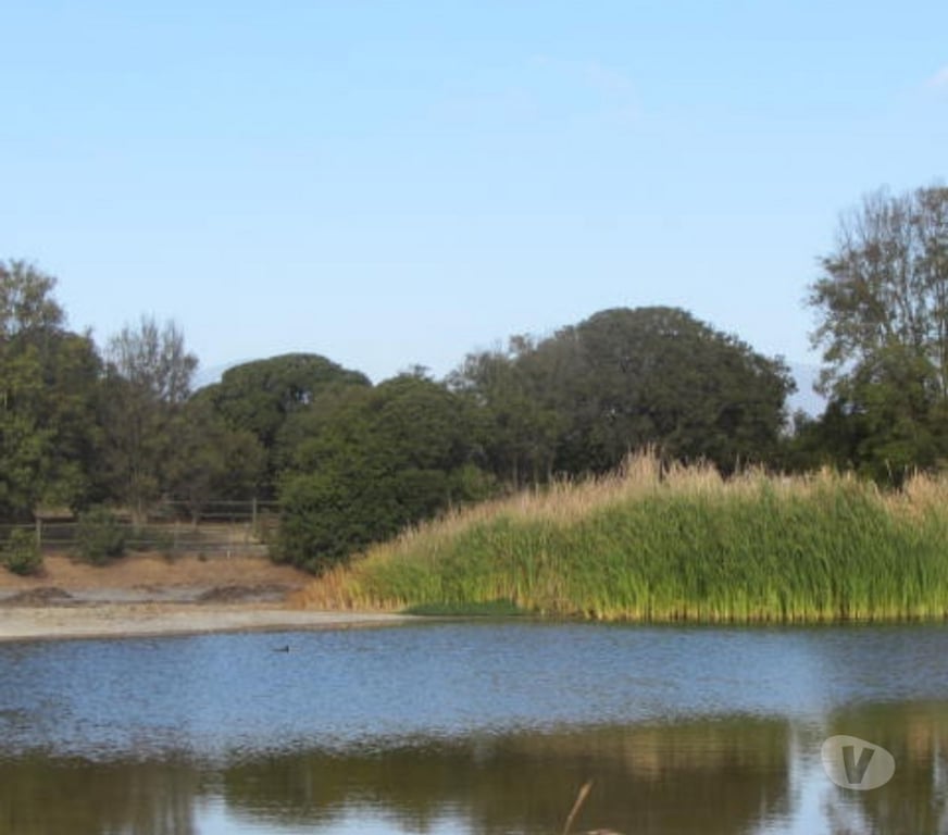 Parcelas en Venta Valparaíso Quintero - Fotos de PARCELA SECTOR EXCLUSIVO VALLE ALEGRE