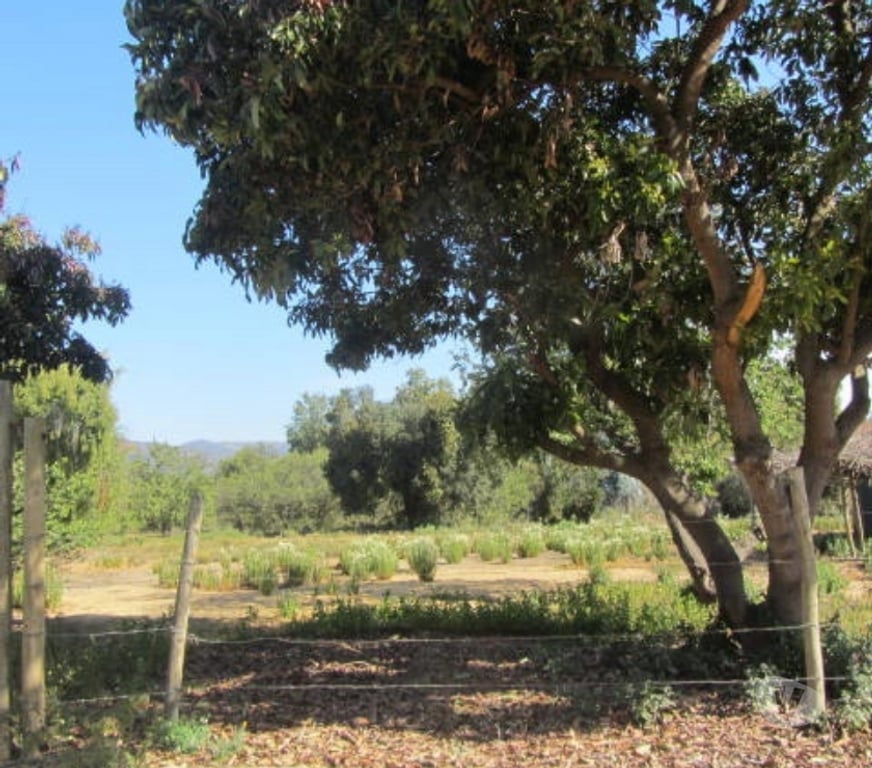 Parcelas en Venta Valparaíso Quintero - Fotos de PARCELA CON DOS CABAÑAS SECTOR VALLE DEL ESTERO QUINTERO