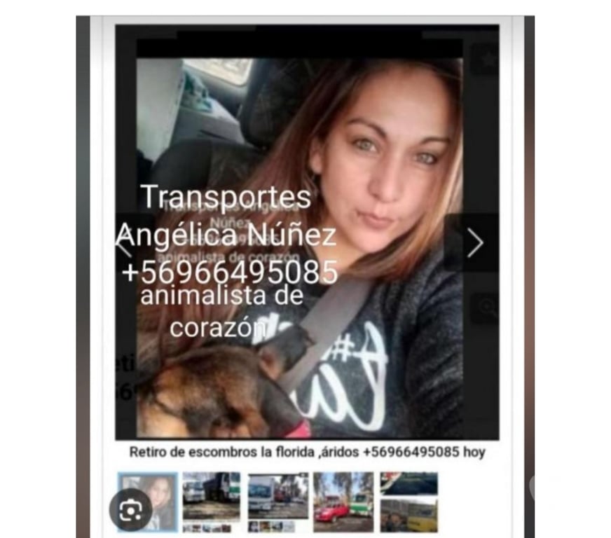 Fletes y Mudanzas - Transportes Santiago Ñuñoa - Fotos de fletes económicos Ñuñoa dentro y fuera de Stgo