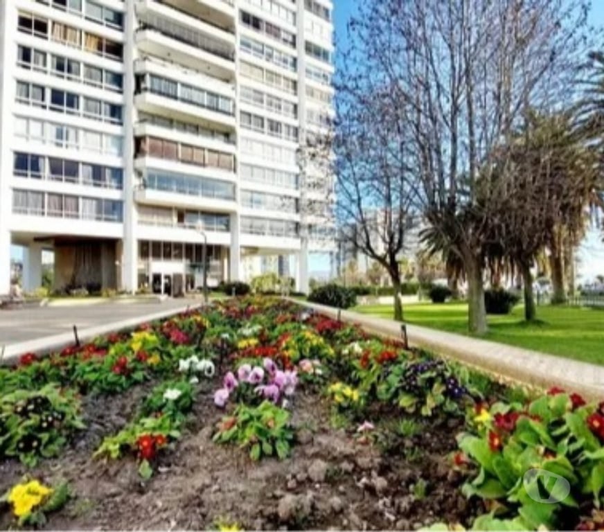 Arriendos Valparaíso Viña del Mar - Fotos de Departamentos marzo a diciembre 2026 Viña del mar