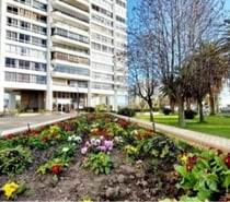 Departamentos marzo a diciembre 2026 Viña del mar