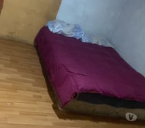 Fotos de Se Arrienda Minidepartamento Amoblada en la serena
