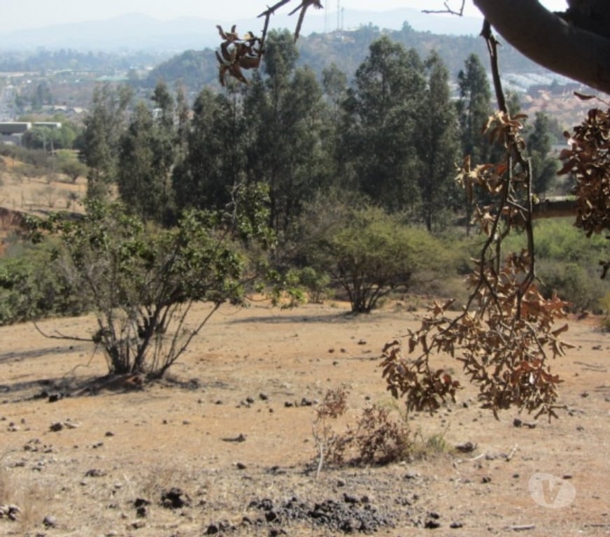 Parcelas en Venta Valparaíso Villa Alemana - Fotos de PARCELA SECTOR EL CARMEN PEÑABLANCA