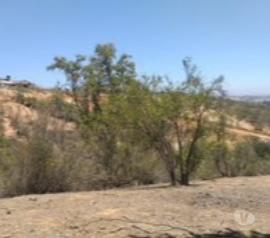 Parcelas en Venta Valparaíso Villa Alemana - Fotos de TERRENO SECTOR EL CARMEN PEÑABLANCA