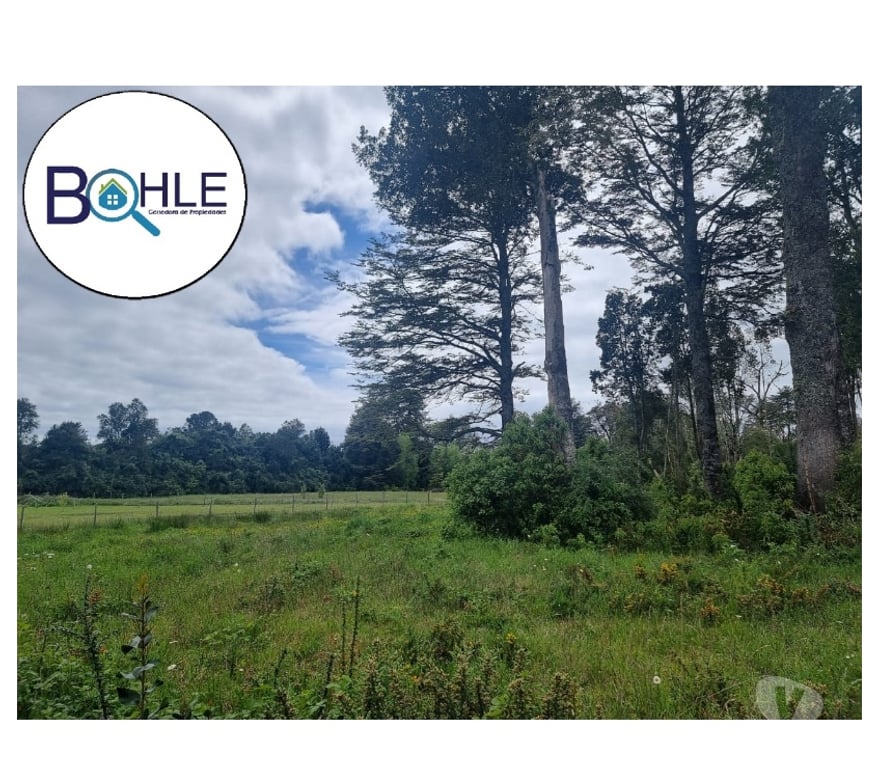 Parcelas en Venta Llanquihue Puerto Varas - Fotos de PARCELACIÓN FUNDO ARTHUR, PUERTO VARAS