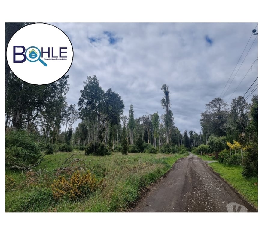 Parcelas en Venta Llanquihue Puerto Varas - Fotos de PARCELACIÓN FUNDO ARTHUR, PUERTO VARAS
