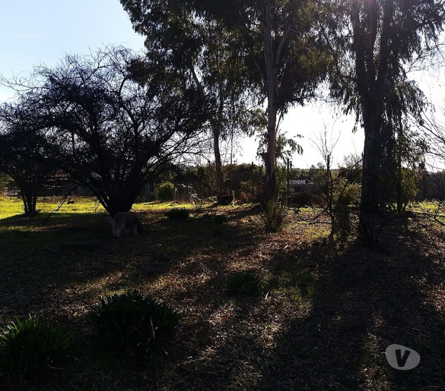 Parcelas en Venta Valparaíso Villa Alemana - Fotos de AMPLIO TERRENO CON CASA SECTOR PATAGUAL
