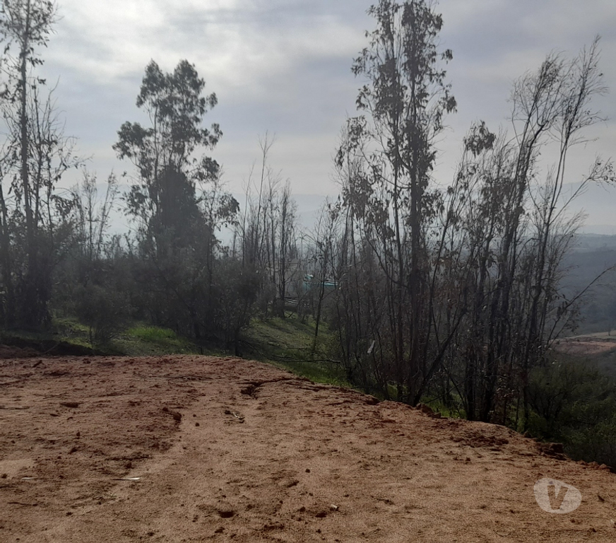Parcelas en Venta Valparaíso Quilpué - Fotos de PARCELA CON ROL PROPIO LINDA VISTA
