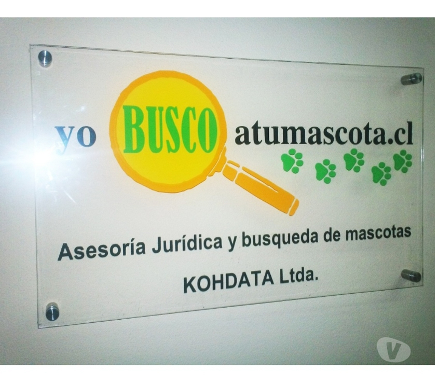 Freelance - Servicios Profesionales Santiago Santiago - Fotos de letreros para oficina de vidrio templado