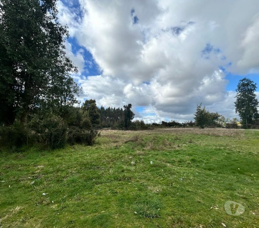 Bienes Raices Valdivia Los Lagos - Fotos de Hermosas parcelas en Los Lagos a 5 minutos del centro