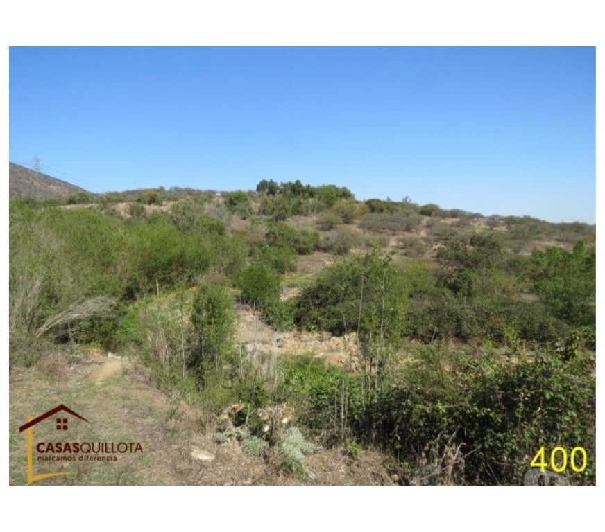 Parcelas en Venta Quillota Quillota - Fotos de Se vende, Excelente terreno agrícola de 8.5 hectáreas.