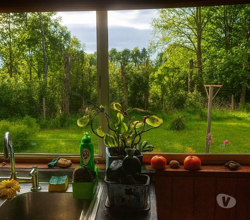 Arriendos Valdivia Valdivia - Fotos de Se arrienda casa cómoda y luminosa en Nueva Circunvalación