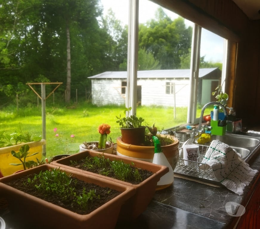 Arriendos Valdivia Valdivia - Fotos de Se arrienda casa cómoda y luminosa en Nueva Circunvalación