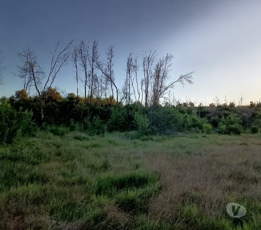 Venta de Haciendas Concepción Florida - Fotos de VENDO HERMOSO CAMPO EN FLORIDA