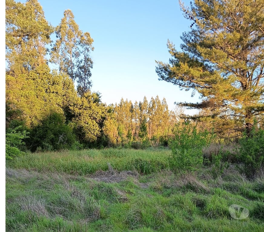Venta de Haciendas Concepción Florida - Fotos de VENDO HERMOSO CAMPO EN FLORIDA