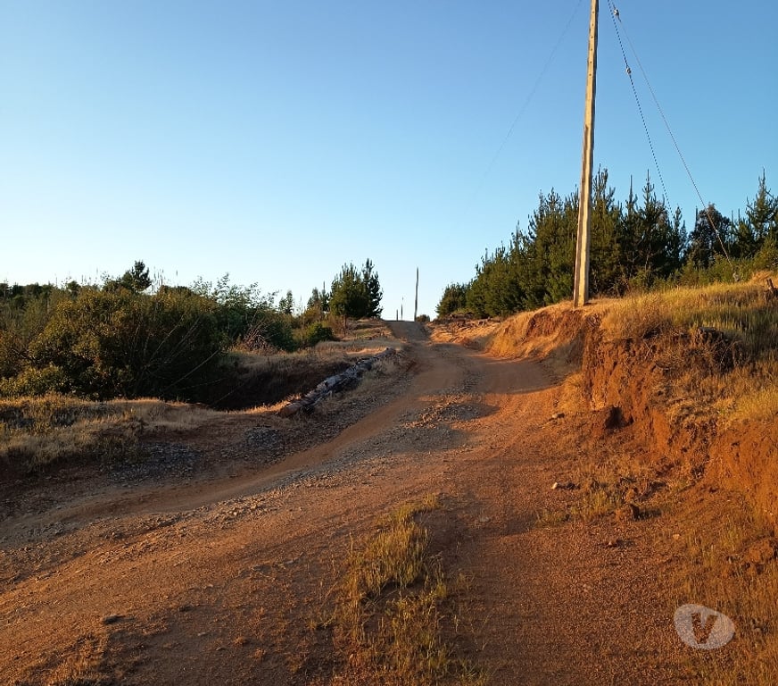 Venta de Haciendas Concepción Florida - Fotos de VENDO HERMOSO CAMPO EN FLORIDA