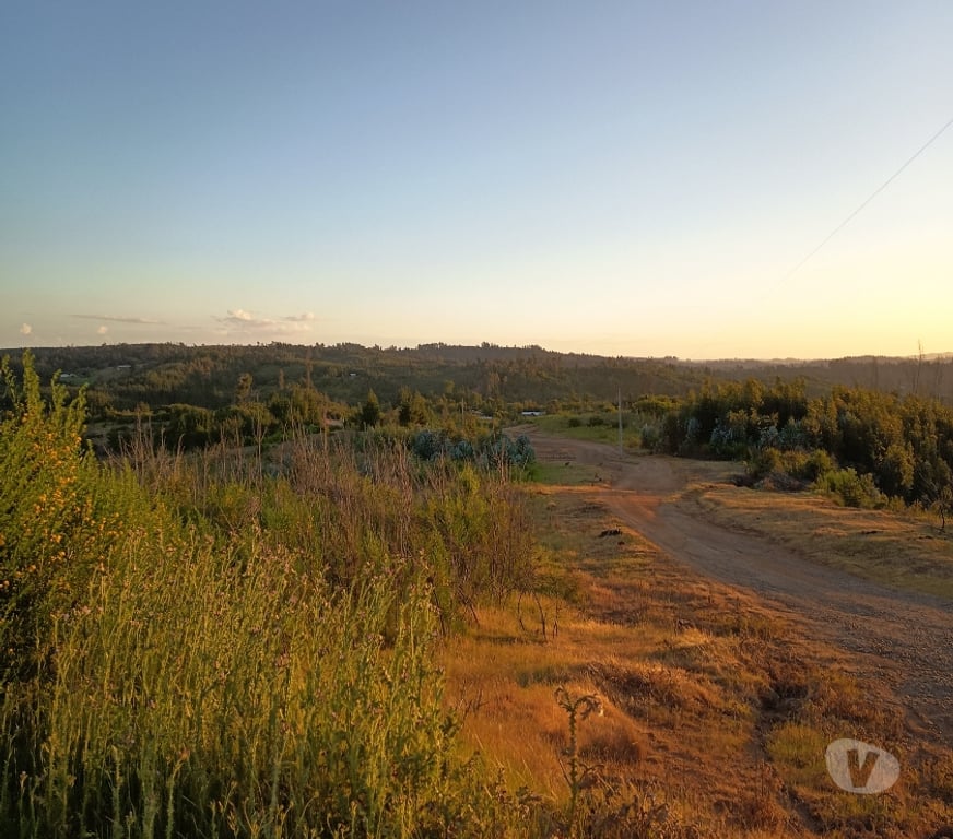 Venta de Haciendas Concepción Florida - Fotos de VENDO HERMOSO CAMPO EN FLORIDA