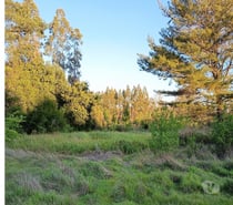 VENDO HERMOSO CAMPO EN FLORIDA