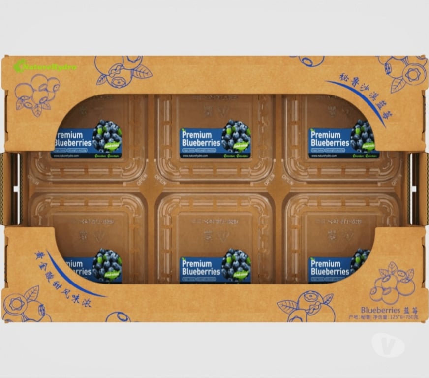 Insumos Agrícolas Chacabuco Colina - Fotos de Caja de Cartón para Frutas Naturales – Fabricación China