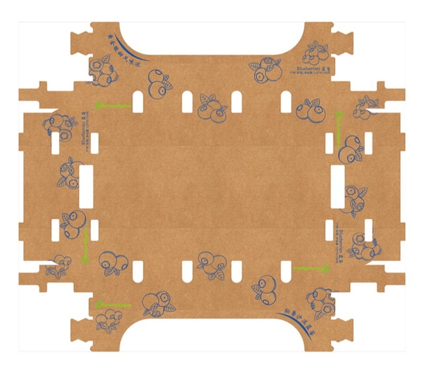 Insumos Agrícolas Chacabuco Colina - Fotos de Caja de Cartón para Frutas Naturales – Fabricación China