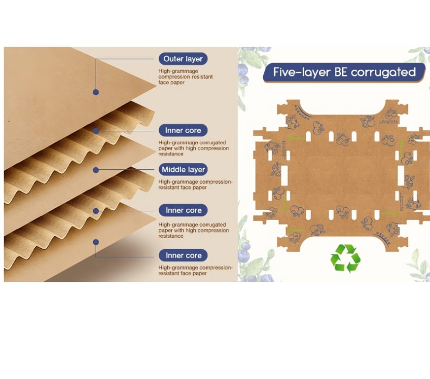 Insumos Agrícolas Chacabuco Colina - Fotos de Caja de Cartón para Frutas Naturales – Fabricación China