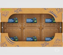 Caja de Cartón para Frutas Naturales – Fabricación China