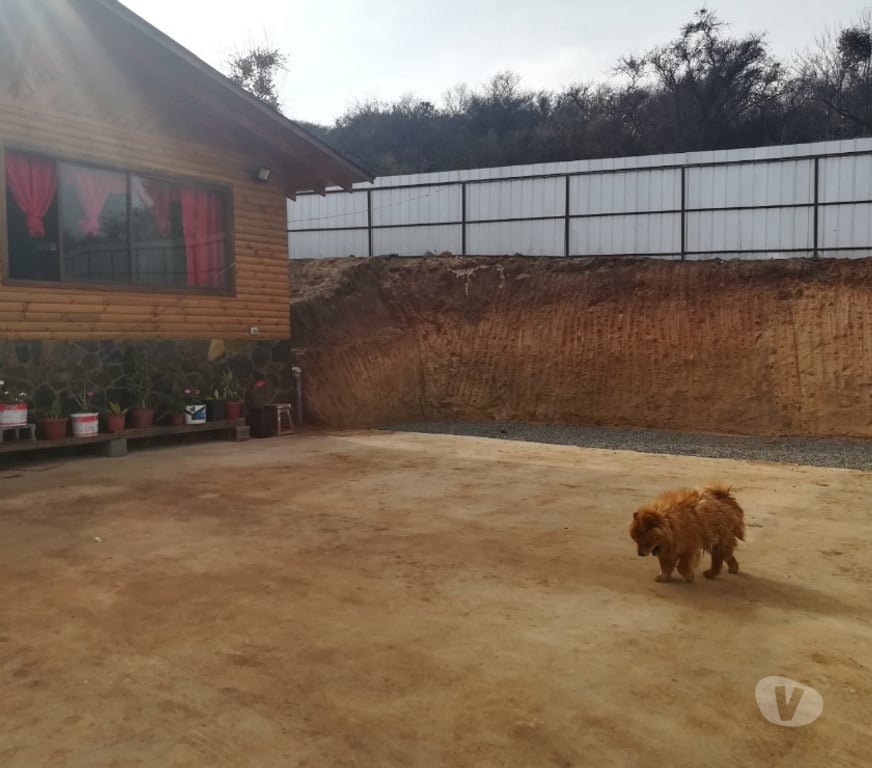 Parcelas en Venta Quillota Limache - Fotos de GRAN PARCELA CON PISCINA EN LIMACHE VIEJO
