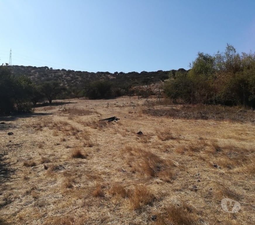 Parcelas en Venta Quillota Limache - Fotos de PARCELA CAMINO LOS LAURELES, LIMACHE