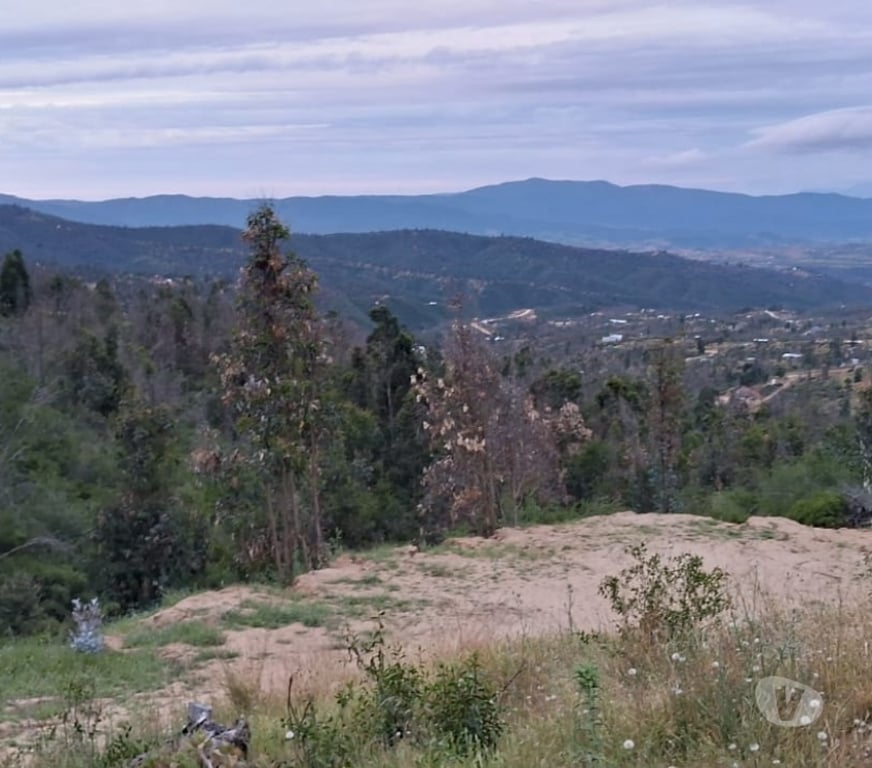 Parcelas en Venta Quillota Limache - Fotos de PARCELA EN CONDOMINIO VALLE VERDE MAR.