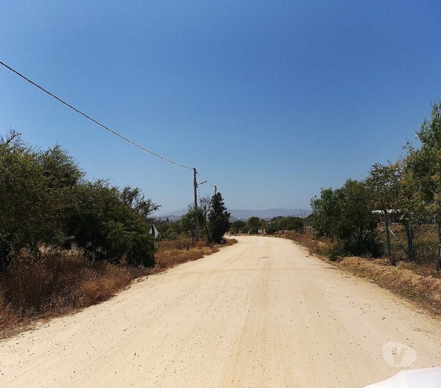 Parcelas en Venta Quillota Limache - Fotos de PARCELA PLANA A MINUTOS DE VILLA ALEMANA