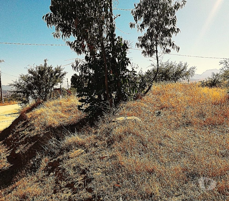 Parcelas en Venta Quillota Limache - Fotos de PARCELA EN VENTA CAJON DEL LEBU