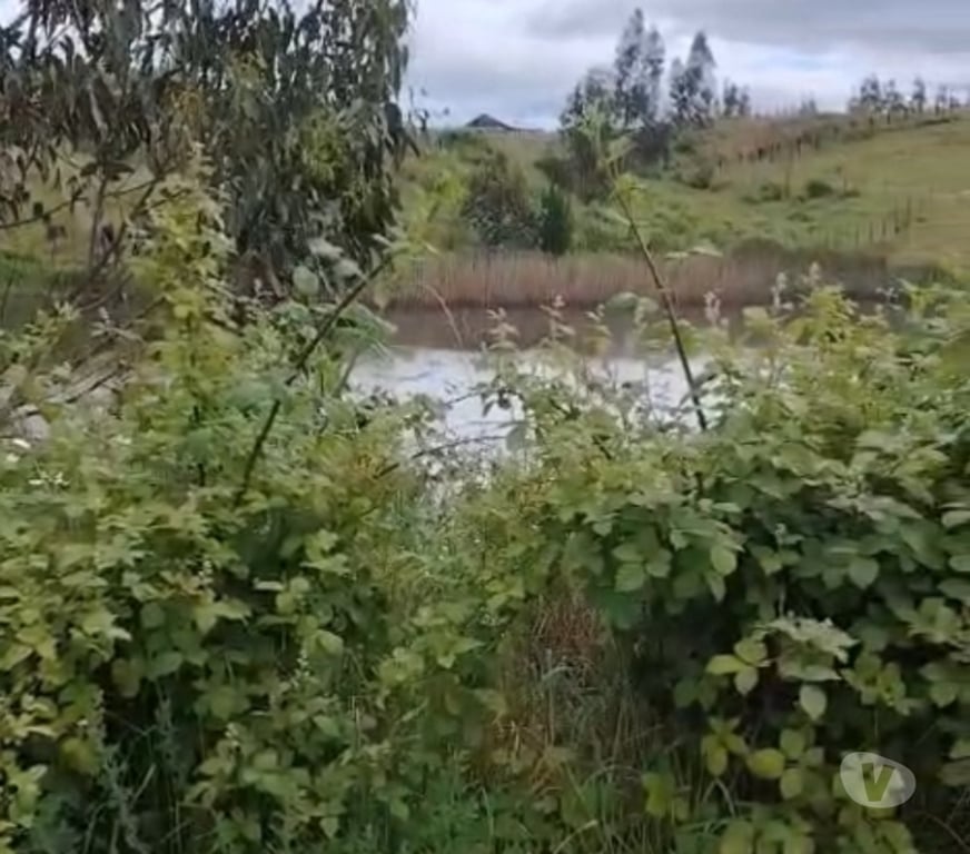 Parcelas en Venta Cautín Temuco - Fotos de 11000m2 rol propio