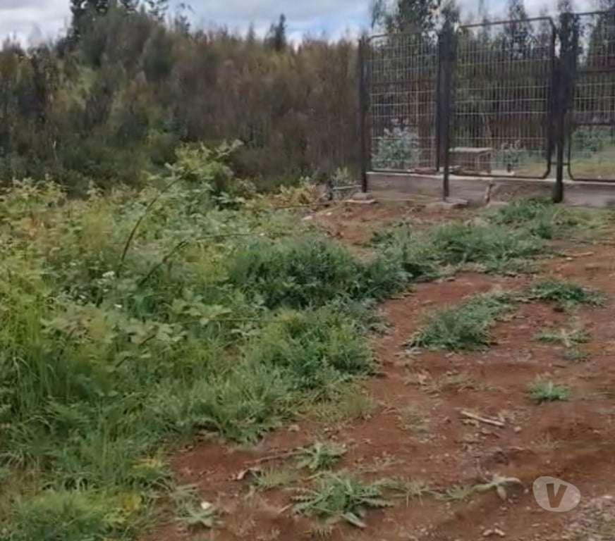 Parcelas en Venta Cautín Temuco - Fotos de 11000m2 rol propio