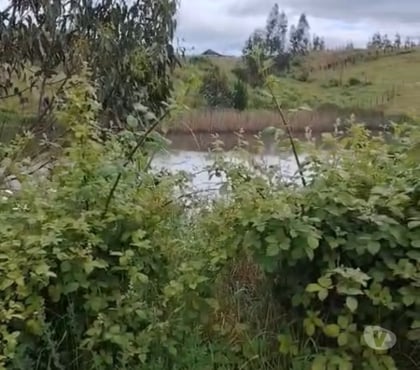 Parcelas Temuco Cautín - Fotos de 11000m2 rol propio