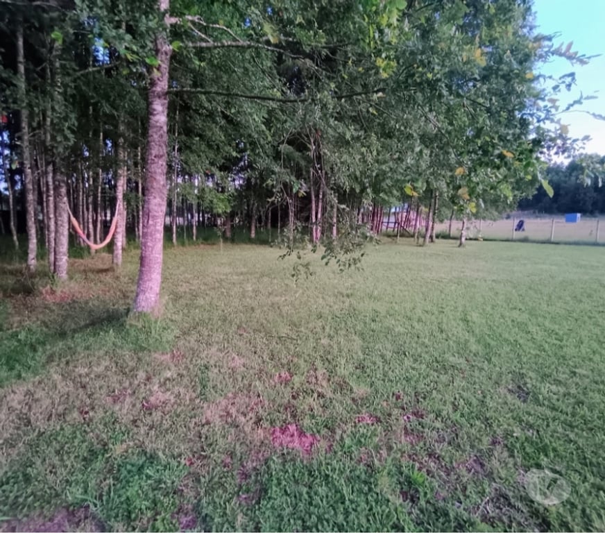 Bienes Raices Cautín Villarrica - Fotos de Hermosa casa en la ciudad de Villarrica