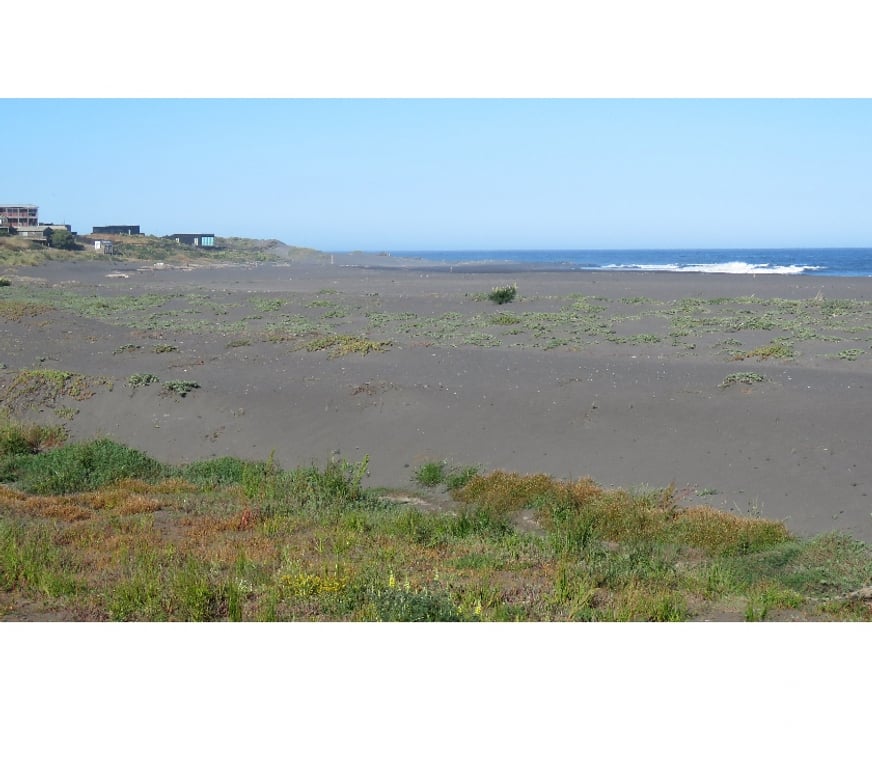 Parcelas en Venta Cauquenes Pelluhue - Fotos de LA SIRENA, PLIMERA LINEA