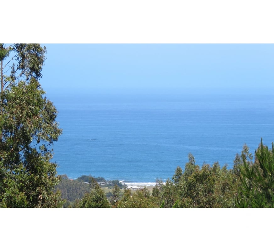 Parcelas en Venta Ñuble Cobquecura - Fotos de EL SILENCIO, COBQUECURA