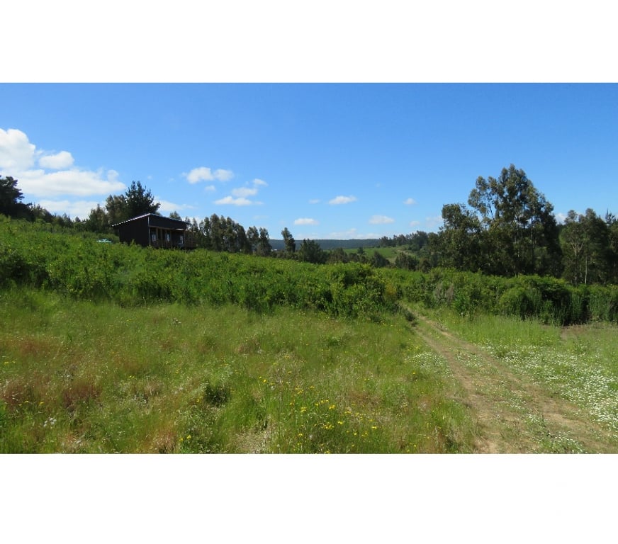 Parcelas en Venta Ñuble Cobquecura - Fotos de EL SILENCIO, COBQUECURA
